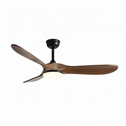 Collection image for: Ventilateur de plafond